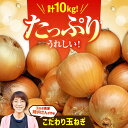 【ふるさと納税】【先行予約】 農家直送!玉葱農家のこだわり玉ねぎ 約10kg【玉葱農家 陣内ちひろ】玉葱 たまねぎ タマネギ 野菜 佐賀県 白石町 [IAO00...