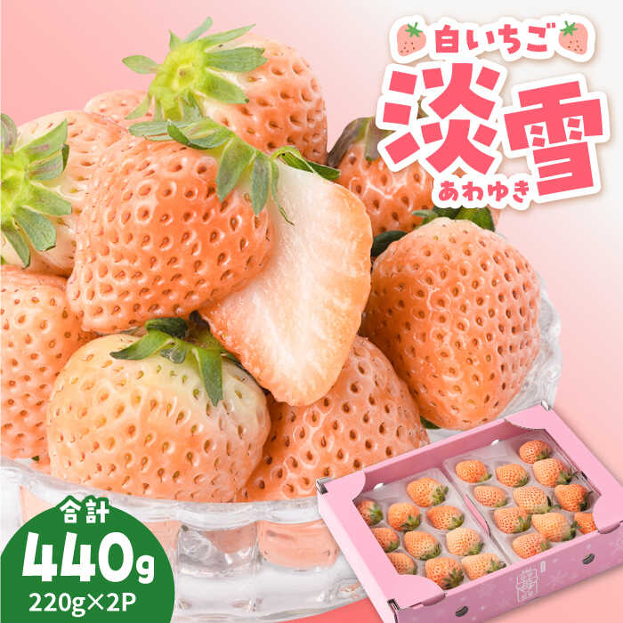 【ふるさと納税】【先行予約】【農家直送】ほんのりピンク白いちご希少な...