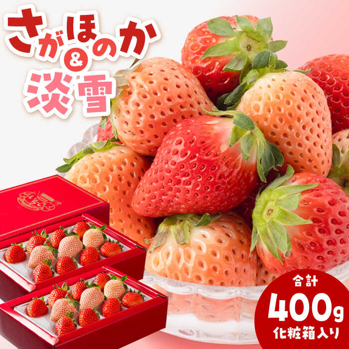 イチゴのふるさと納税