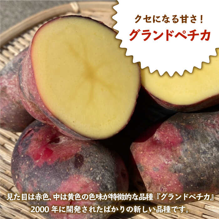 【ふるさと納税】【先行予約】クセになる甘さ！グランドペチカ（ジャガイモ）約2kg【桑野ファーム】 イモ 野菜 じゃがいも ジャガイモ 芋[IAR002]