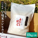 特別栽培米 早場米 コシヒカリ 10kg（10kg×1）～山口さんちの贈り物～