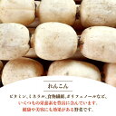 佐賀県白石町の画像2