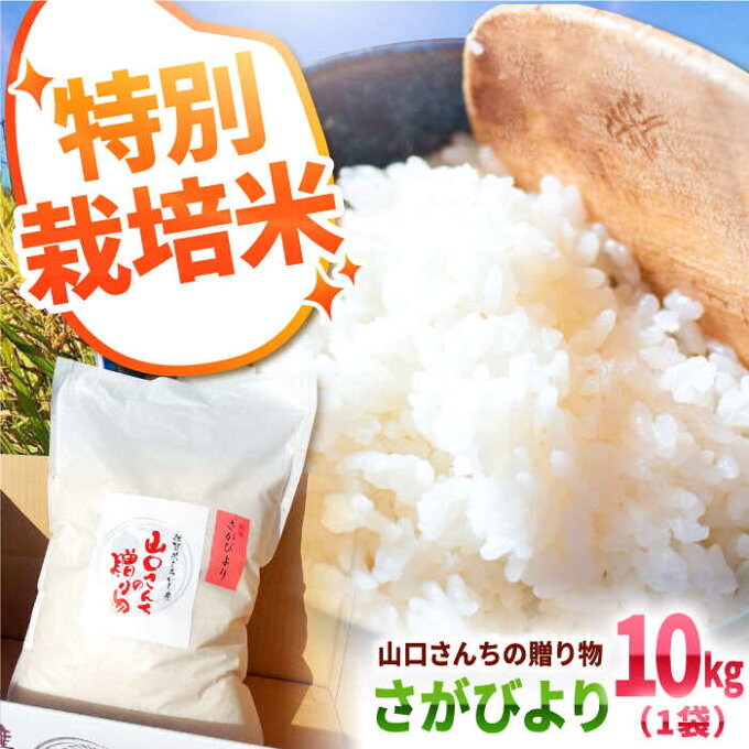 【ふるさと納税】【先行予約】【令和4年産新米】特別栽培米 さがびより 10kg 白米?山口さんちの贈り物?【yscompany】米 コメ お米 佐賀県産 白石町産 [IAS006]