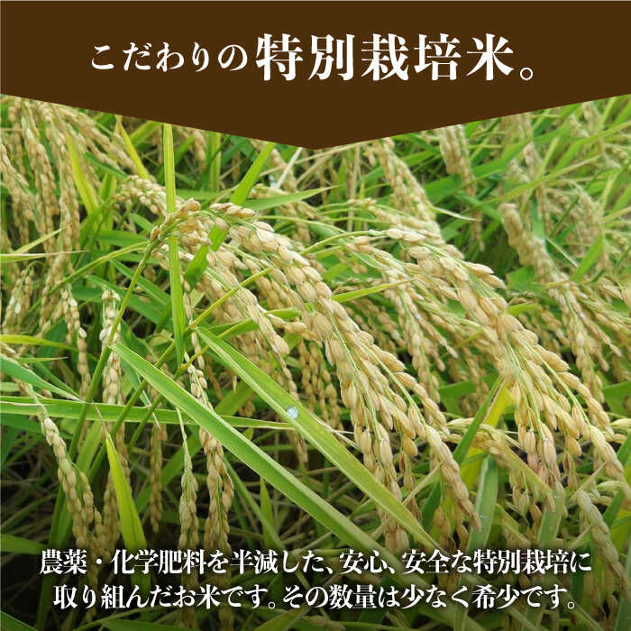 品質・美味しさを追求した特別栽培米！　【ふるさと納税】【令和8年1月以降発送】【全3回定期便】 特別栽培米 3種食べ比べ（白米） 各回5kg【y'scompany】米 お米 新米 ブランド米 農家直送 特別栽培 特別栽培米 夢しずく ひのひかり さがびより 令和7年 佐賀県 白石町 [IAS014]
