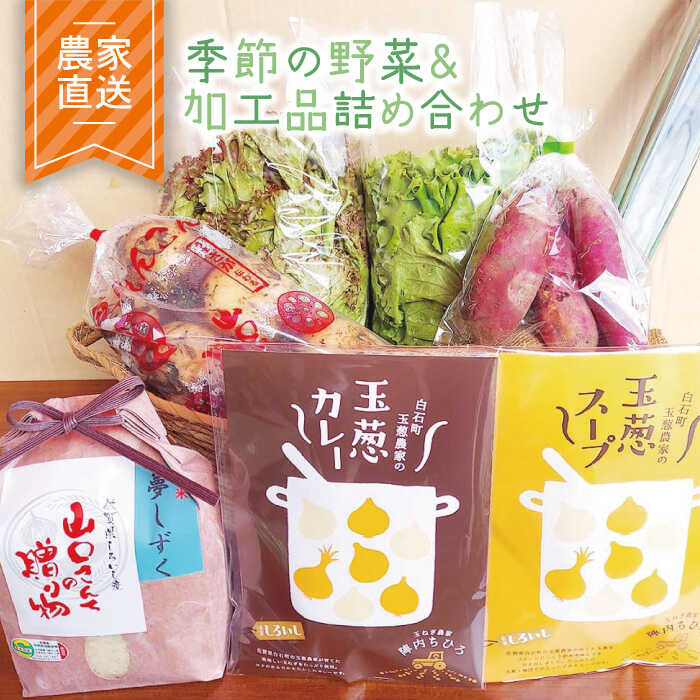 楽天佐賀県白石町【ふるさと納税】【農家直送！】季節のお野菜＆加工品の詰め合わせセット【AGUMIGroup（農業女子グループ）】 [IAT001]