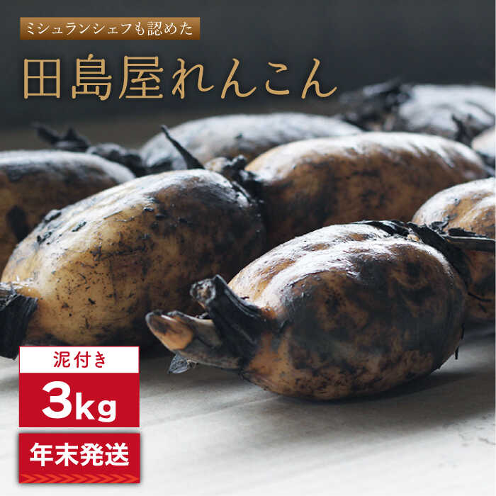 【ふるさと納税】【年末発送】【先行予約】田島屋れんこん3kg（泥付き）【田島屋れんこん】蓮根 レンコン 根菜 野菜 白石町産 年内発送 お正月 [IAV003]