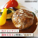 佐賀県白石町の画像2