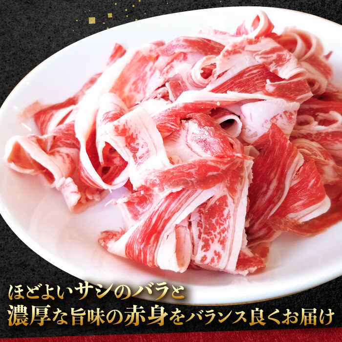 佐賀県白石町の画像3