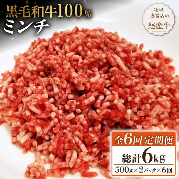 【小分けがうれしい！】【6回定期便】牧場直営店の黒毛和牛100%ミンチ 1000g（500g×2パック）【川崎畜産】経産牛 お肉 肉 牛肉 冷凍 和牛 ミンチ [IAX021]