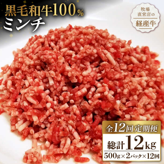 【小分けがうれしい！】【12回定期便】牧場直営店の黒毛和牛100%ミンチ 1000g（500g×2パック）【川崎畜産】経産牛 お肉 肉 牛肉 冷凍 和牛 ミンチ [IAX022]