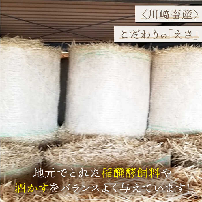 佐賀県白石町の画像3