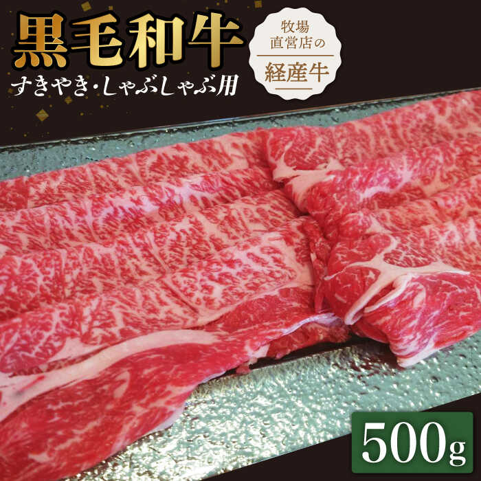 【霜降り控えめ！】牧場直営店の黒毛和牛 スライス 500g （ロース）すきやき・しゃぶしゃぶ用【川崎畜産】牛肉 肉 お肉 すき焼き すき焼 すきしゃぶ [IAX028]