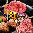 【ふるさと納税】【3回定期便】肉ざんまい定期便 大家族 大容量 たっぷり【川崎畜産】国産 肉 お肉 牛肉 冷凍 定期配送 食べ比べ セット 詰め合わせ 佐賀県 ...