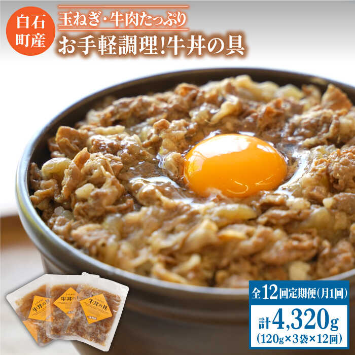 【ふるさと納税】【全12回定期便】身体にやさしい お手軽調理 牛丼の具 120g 3袋入り 【べんがら】牛肉 丼 惣菜 レトルト おかず 時短 簡単調理 [IAZ008]