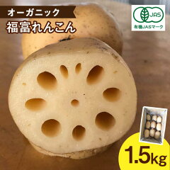 https://thumbnail.image.rakuten.co.jp/@0_mall/f414255-shiroishi/cabinet/item/ibc/ibc001.jpg