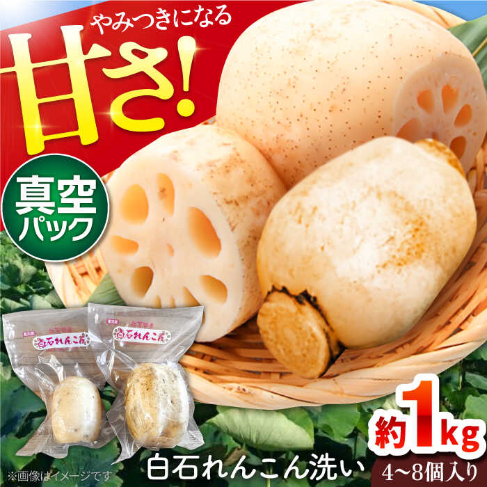 ڤդ뤵Ǽǡ 7ǯ9ʹȯۡڿѥå ߤĤˤʤŤ Ĳ̤ΤФ󤳤 1kg 4-8ˡ...