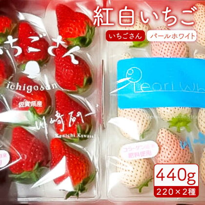 【先行予約】赤白「いちごさん」＆「パールホワイト」セット各220g 【かわさきいちご】イチゴ 白イチゴ 苺 果物 フルーツ 佐賀県産[IBG002]