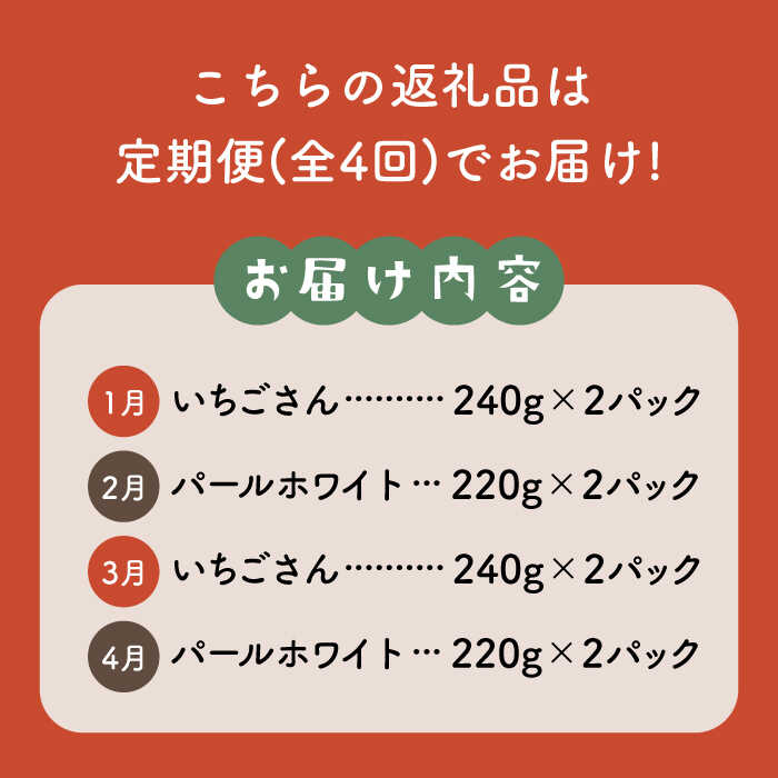 【ふるさと納税】【先行予約】【全4回定期便】食べ比べ！いちごさん＆パールホワイト定期便【かわさきいちご】イチゴ 白イチゴ 苺 果物 フルーツ 佐賀県産 [IBG012]