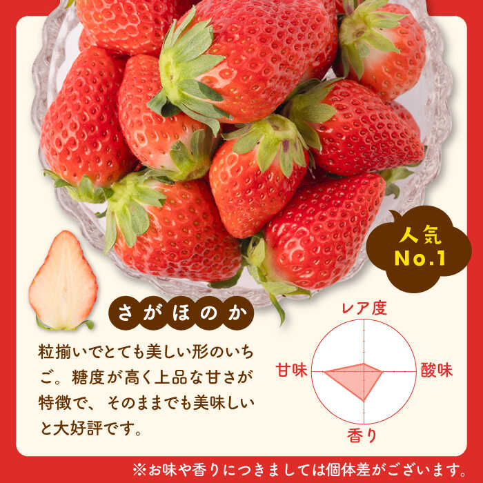 【ふるさと納税】【先行予約】食べ比べ！恋みのり＆さがほのか 計880g（各種220g×2パック）詰め合わせ セット【鐘ヶ江農園】 [IBH011]イチゴ 苺 直送 新鮮 果物 フルーツ 佐賀県産 白石町産 産地直送