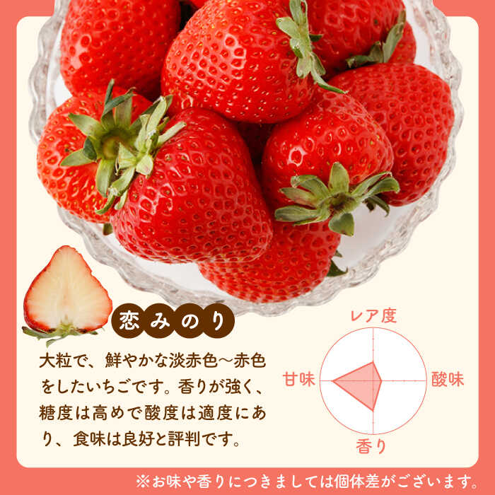 【ふるさと納税】【先行予約】食べ比べ！恋みのり＆さがほのか 計880g（各種220g×2パック）詰め合わせ セット【鐘ヶ江農園】 [IBH011]イチゴ 苺 直送 新鮮 果物 フルーツ 佐賀県産 白石町産 産地直送