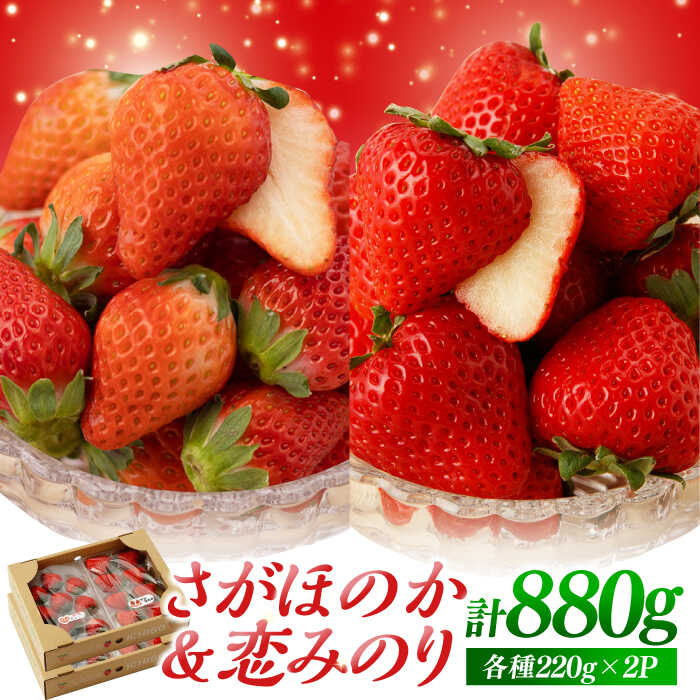 [先行予約]食べ比べ!恋みのり&さがほのか 計880g(各種220g×2パック)詰め合わせ セット[鐘ヶ江農園] [IBH011]イチゴ 苺 直送 新鮮 果物 フルーツ 佐賀県産 白石町産 産地直送