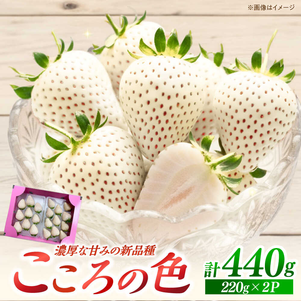 [先行予約]新品種 白石町産 白いちご 「こころの色」 220g×2パック [鐘ヶ江農園]