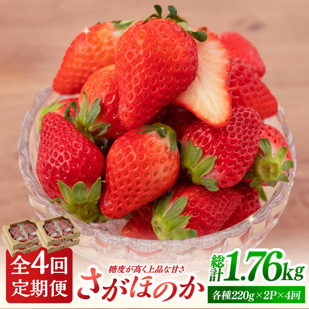 [先行予約][4回定期便]さがほのか 220g×2パック×4回 [鐘ヶ江農園]