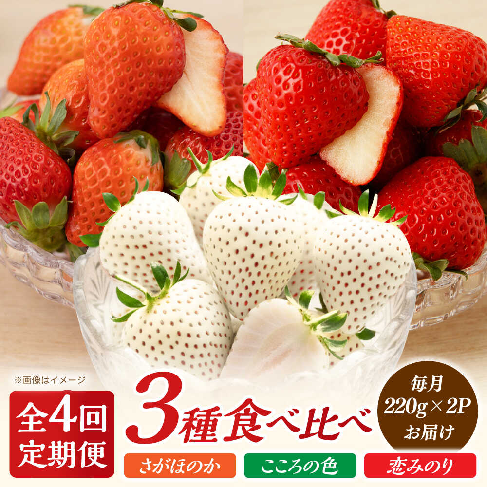 [先行予約][4回定期便]さがほのか・恋みのり・こころの色 220g×2パック×4回 [鐘ヶ江農園]