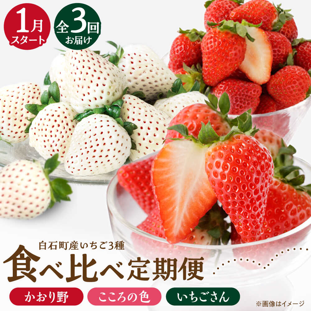[R8年1月以降発送][全3回定期便]3種の食べ比べ定期便(1) [StrawberryFarm-K]