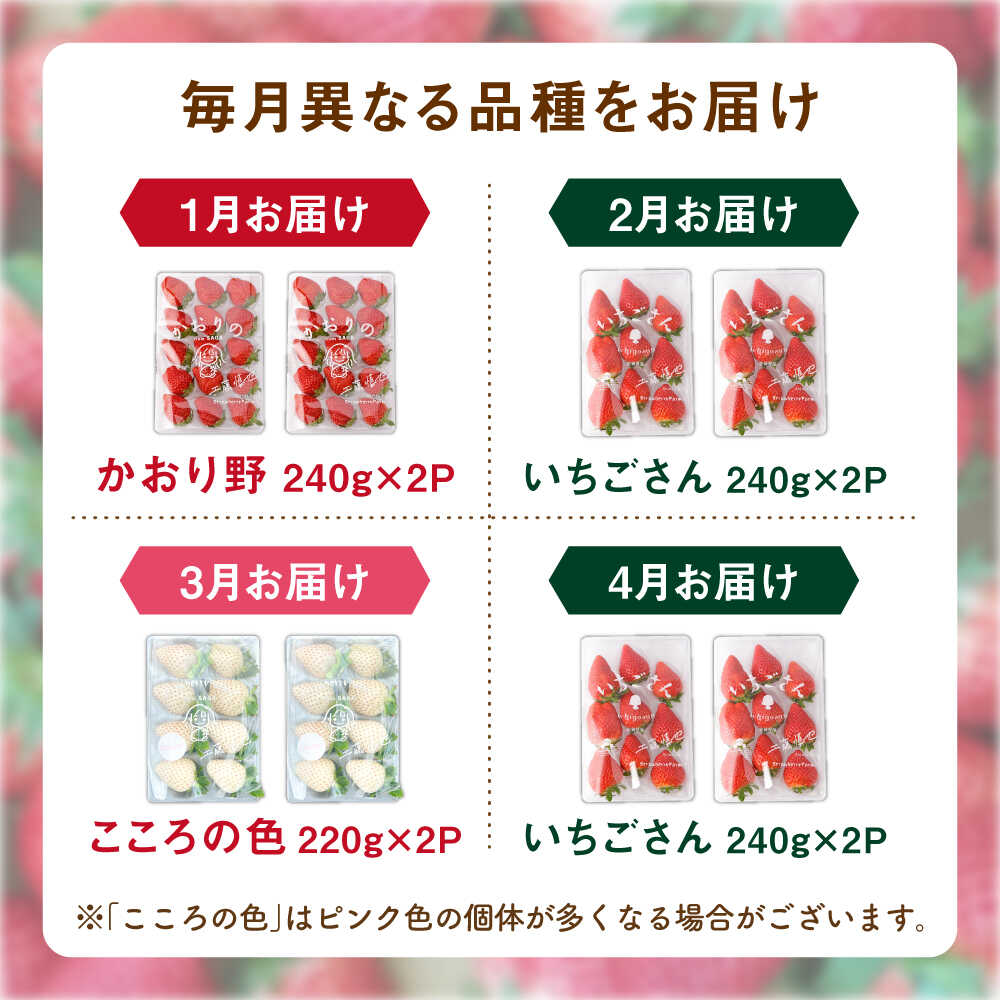【ふるさと納税】【R8年1月以降発送】【全4回定期便】3種の食べ比べ定期便（3） 【StrawberryFarm-K】[IBJ032]