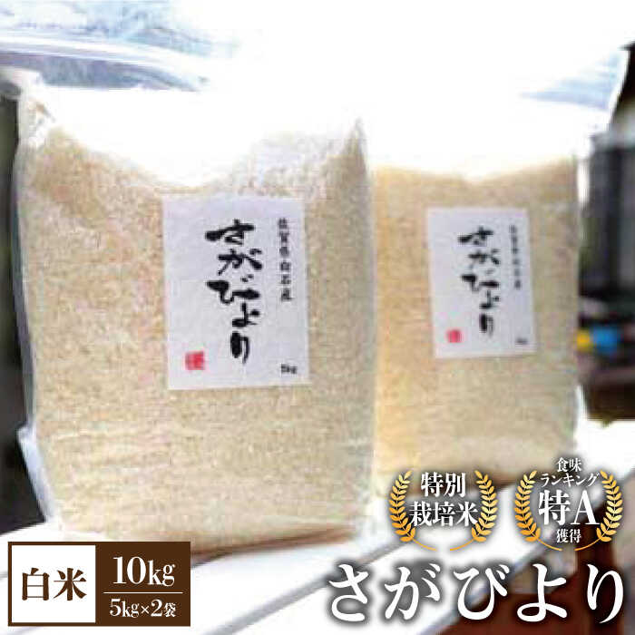 【令和5年産】【九州米・食味コンクール3年連続入賞！】こだわりの さがびより 10kg（白米）【白浜農産】米 お米 農家直送 直送 特別栽培 特別栽培米 減農薬 減化学肥料 高品質 特A評価 [IBL001]