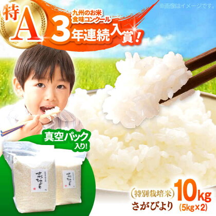 【令和5年産】【九州米・食味コンクール3年連続入賞！】こだわりの さがびより 10kg（白米）【白浜農産】米 お米 農家直送 直送 特別栽培 特別栽培米 減農薬 減化学肥料 高品質 特A評価 [IBL001]