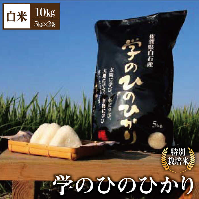 [令和5年産]学の ひのひかり 10kg(白米)[白浜農産]米 お米 農家直送 直送 特別栽培 特別栽培米 減農薬 減化学肥料 高品質