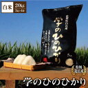 【ふるさと納税】【令和5年産】学の ひのひかり 20kg（白