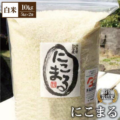 【令和5年産】こだわりの にこまる 10kg（白米）【白浜農産】米 お米 農家直送 直送 特別栽培 特別栽培米 減農薬 減化学肥料 高品質 [IBL009]