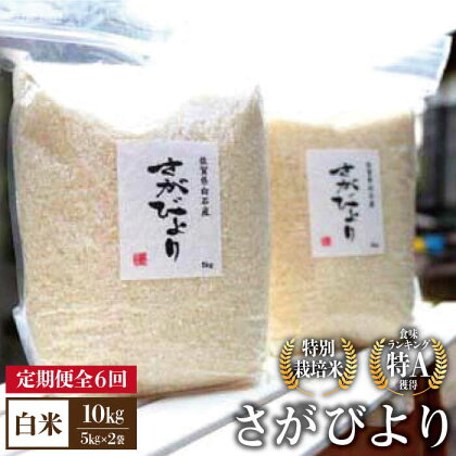 【全6回定期便】【九州米・食味コンクール3年連続入賞！】こだわりの さがびより 10kg（白米）【白浜農産】米 お米 農家直送 直送 特別栽培 特別栽培米 減農薬 減化学肥料 高品質 特A評価 [IBL017]