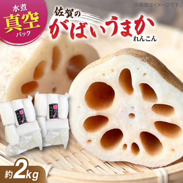 【ふるさと納税】【お手軽調理！】白石町産 水煮れんこん 計2kg（真空パック）【有限会社白石開発】蓮根 レンコン 野菜 真空 保存しやすい [IBN007]