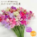 【ふるさと納税】【生産農家直送！】スイートピー 花束 100本（ミックス）【木下農園】花 フラワー ギフト 贈り物 プレゼント [IBW004]