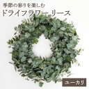 【ふるさと納税】【数量限定】【季節の彩りを楽しむ】ドライフラワー リース（ユーカリ）【yumikofactory】インテリア 花 フラワーアレンジ 贈り物 ギフト 飾り 小物 [IBY003]