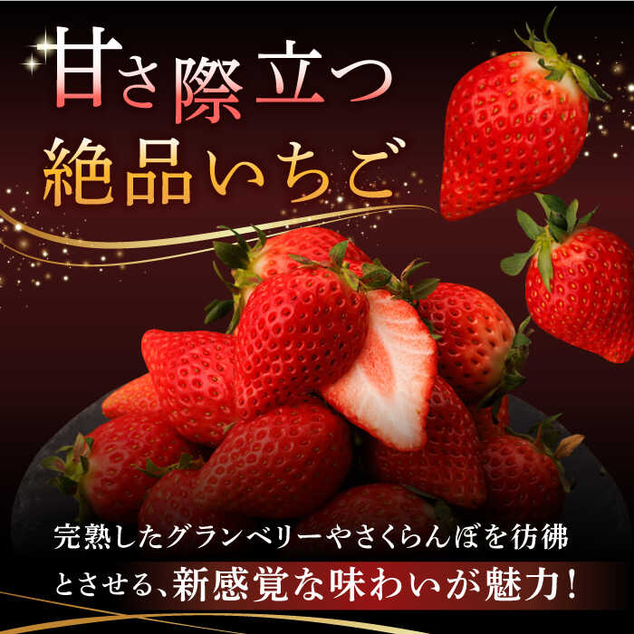 佐賀県白石町の画像3