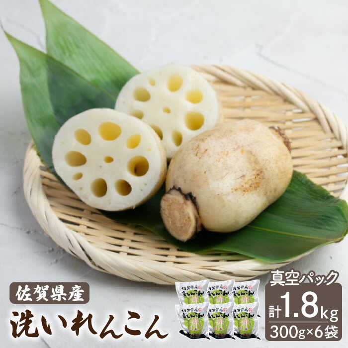 【ふるさと納税】洗い れんこん 真空パック入り 300g×6袋（計1.8kg）【有限会社マルハ園芸】 レンコン 蓮根 根菜 野菜 白石町産 佐賀県産[ICC003]