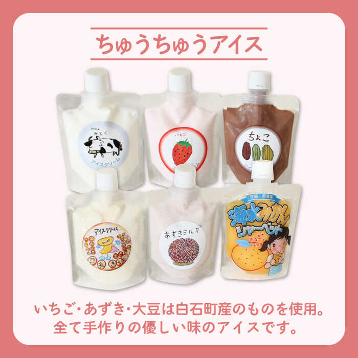 【ふるさと納税】 【小さいお子様にもおすすめ！】 ちゅうちゅうアイス（チューブ入り）6種アソート セット【佐賀西部コロニー白石作業所】 [ICL008]