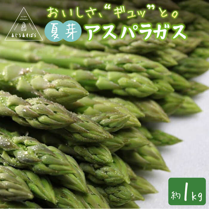 【ふるさと納税】【先行予約】農家直送！こだわりたっぷり 夏芽 アスパラガス 約1kg【あじろあすぱら】アスパラ 野菜 新鮮 [ICO001]