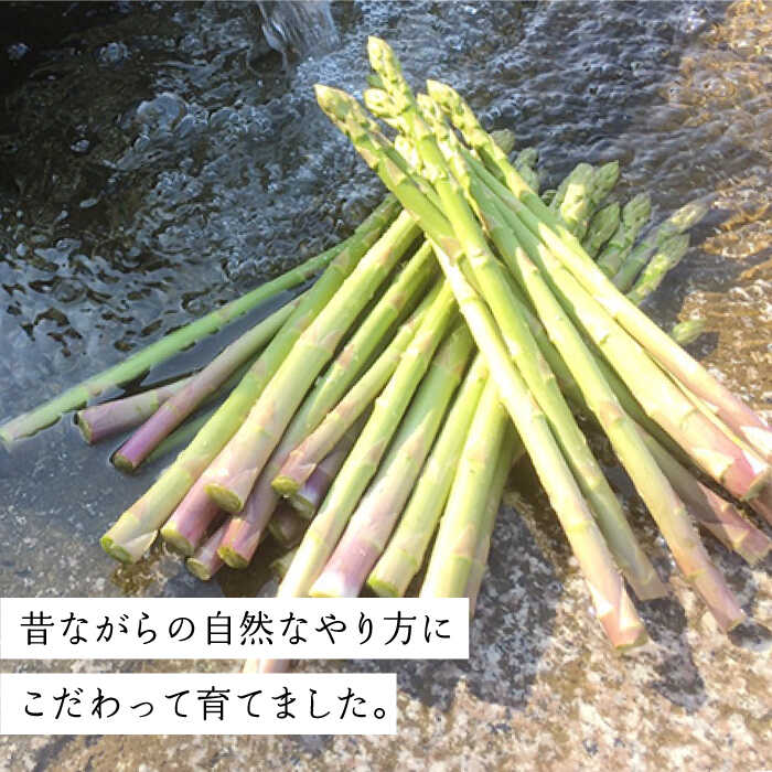 【ふるさと納税】甘くやわらか！こだわり 春芽 アスパラガス 約1kg【ふぁふぁふぁーむ】アスパラ 野菜 新鮮 [ICS001]