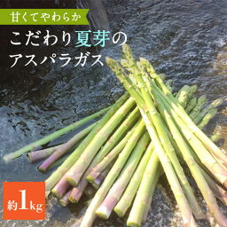 【ふるさと納税】【先行予約】甘くやわらか！こだわり 夏芽 アスパラガス 約1kg【ふぁふぁふぁーむ】 [ICS002]