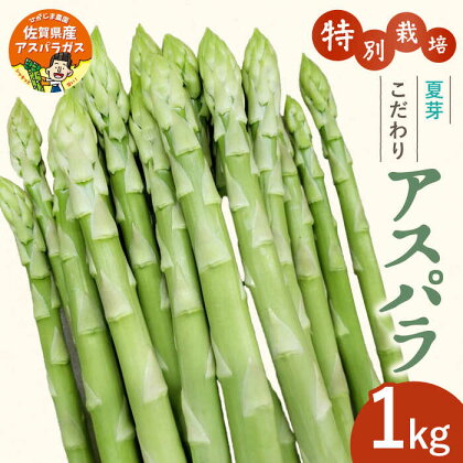 【先行予約】【特別栽培】身体にやさしい こだわり 夏芽 アスパラガス 約1kg【ひがじま農園】 [ICW003]