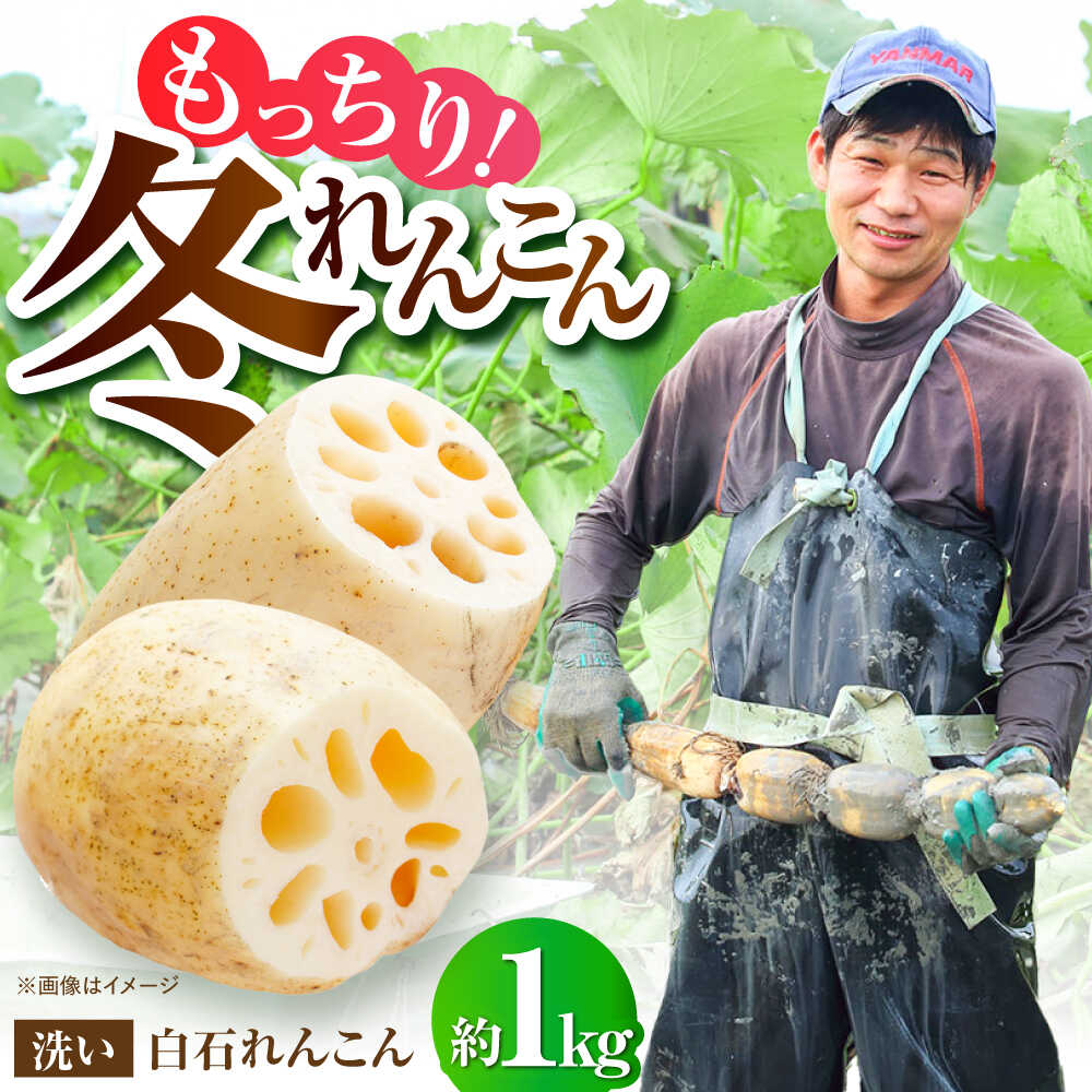 ڤդ뤵ǼǡۡھȤȤ󤳤Į 󤳤1kg[IDC004]