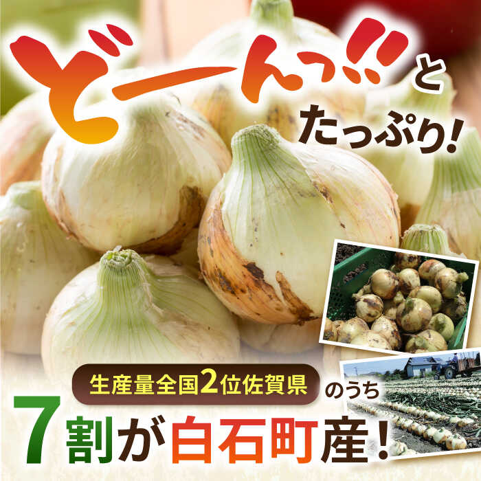 【ふるさと納税】【先行予約】白石産たまねぎ 約10kg 野菜 タマネギ 玉葱 玉ねぎ [IZZ001]