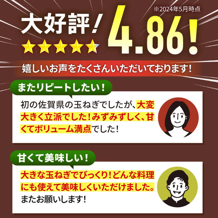 【ふるさと納税】【先行予約】白石産 新たまねぎ（約10kg）【佐賀県農業協同組合】玉ねぎ 玉葱 タマネギ 野菜 白石町産 佐賀県産 [IAK017]