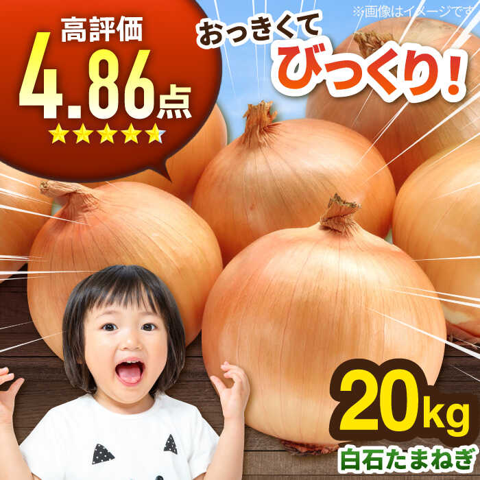 【ふるさと納税】【先行予約】白石産たまねぎ 約20kg 野菜 玉ねぎ タマネギ 玉葱【佐賀県農業協同組合...